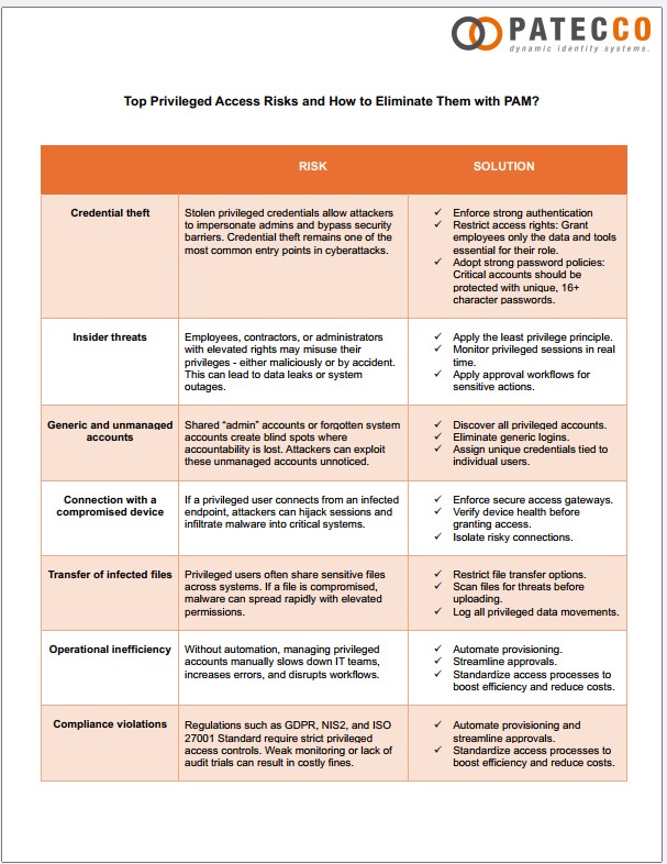 Image presenting the top PAM risks and solutions used to eliminate them.